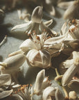 Neroli is a Major Ingredient in Yusei Fleur De Neroli Natural Perfume