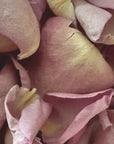 Rose Petals are a Major Ingredient in Yusei Fleur De Rose Natural Perfume