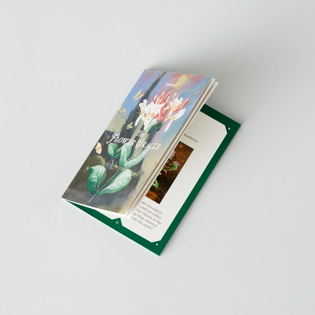 The Flower Oracle Guidebook