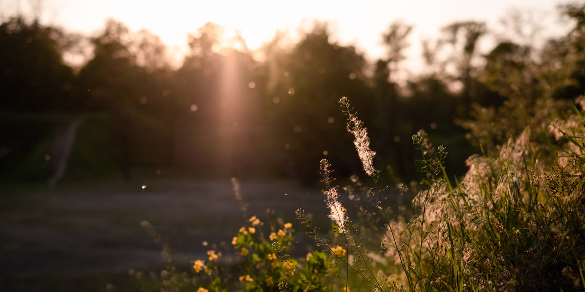 Is My Partner Allergic To My Perfume or Cologne?