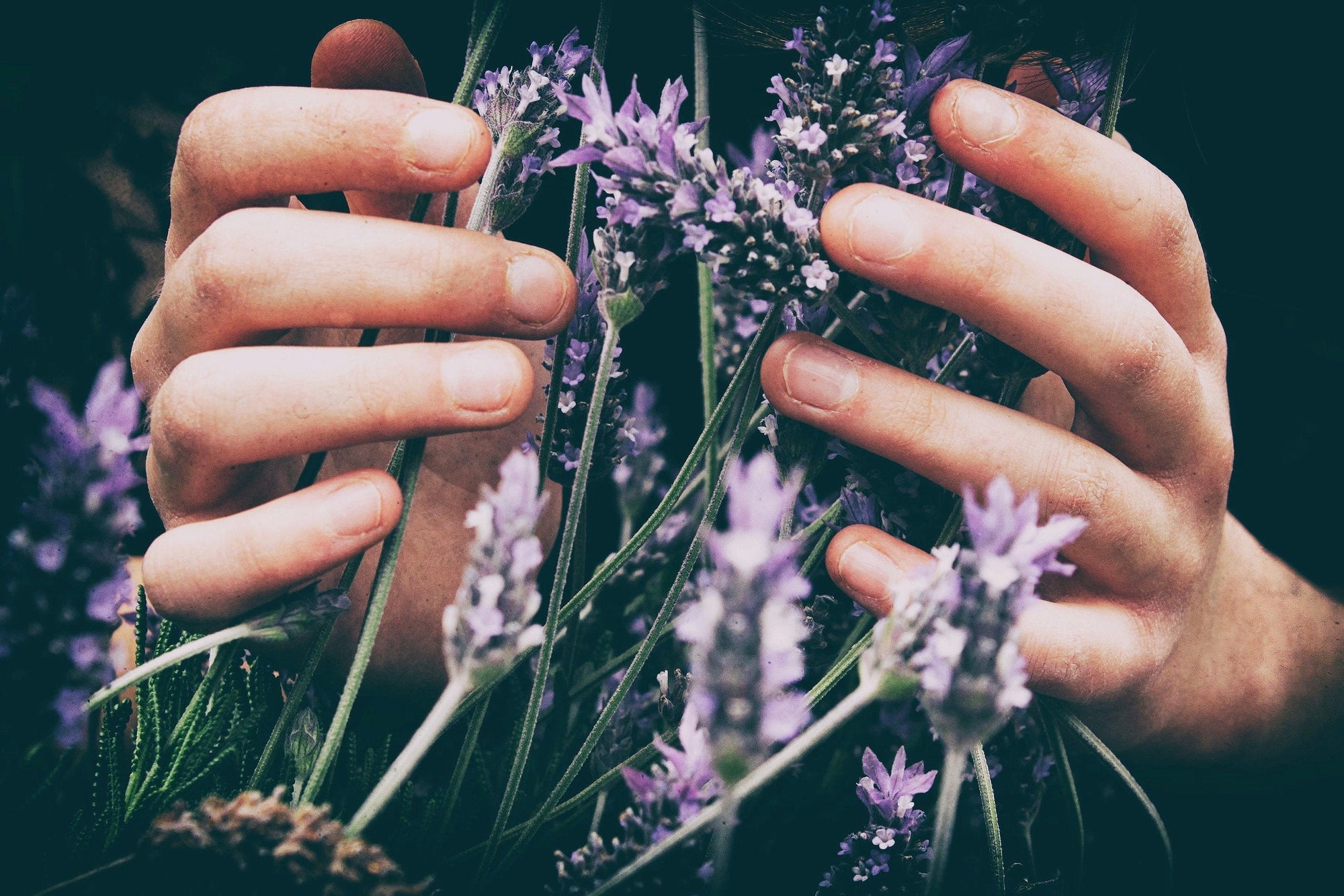 Can perfumes calm, focus or energise you?