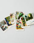 The Flower Oracle Card Deck