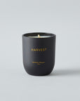 Harvest by Vanessa Megan Mini Candle